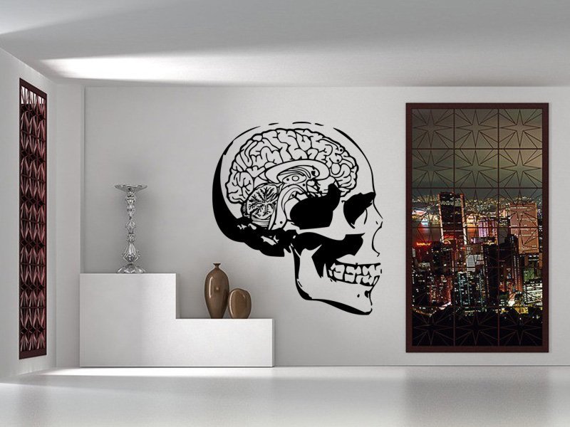 Samolepky na zeď Lebka s mozkem 1216 - Samolepící dekorace a nálepka na stěnu