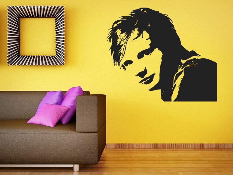 Samolepky na zeď Ed Sheeran 1347 - Samolepící dekorace a nálepka na stěnu