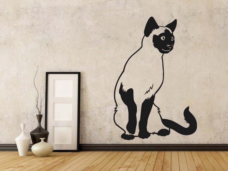 Samolepky na zeď Kočka siamská 0450 - Samolepící dekorace a nálepka na stěnu