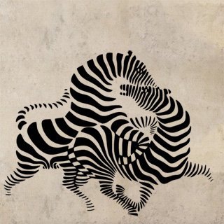Samolepka na zeď Zebra 010 - 100x80 cm