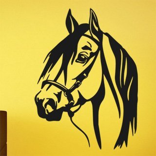Samolepící dekorace Kůň 0399 - 89x120 cm