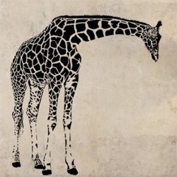 Samolepky na zeď Žirafa 004