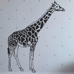 Samolepky na zeď Žirafa 002