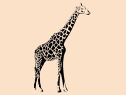 Samolepky na zeď Žirafa 007