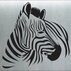 Samolepky na zeď Zebra 007